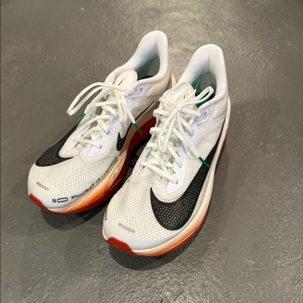 Nike Zoom Fly 6 - men’s 11.5 - worn 1x